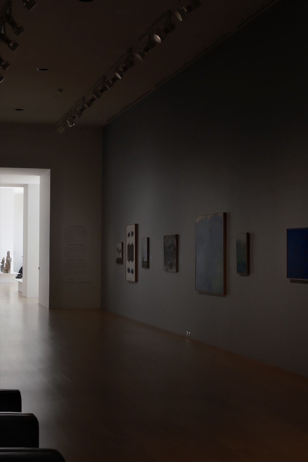 Blue abstract paintings on an unlit wall, a bright doorway beyond