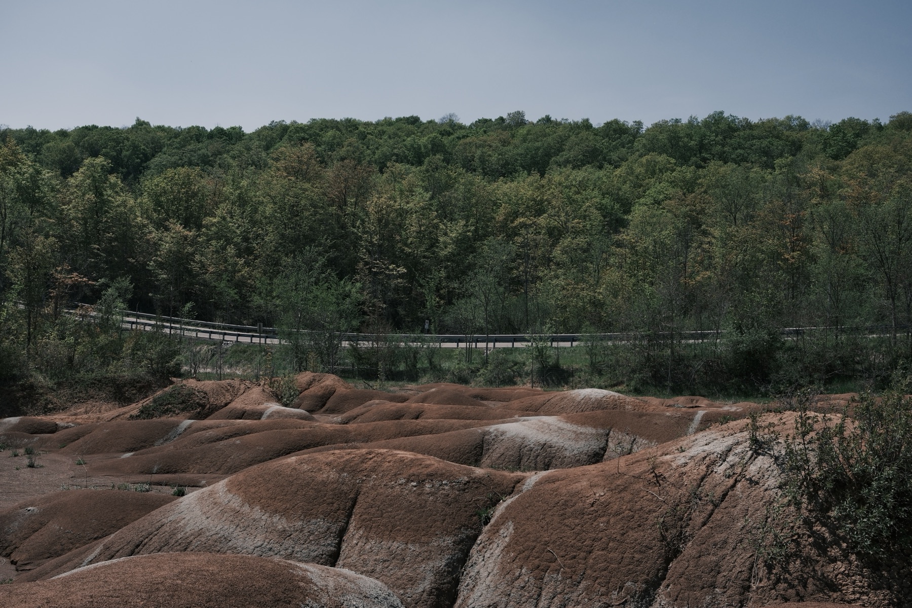 Red clay mounds below the tree line