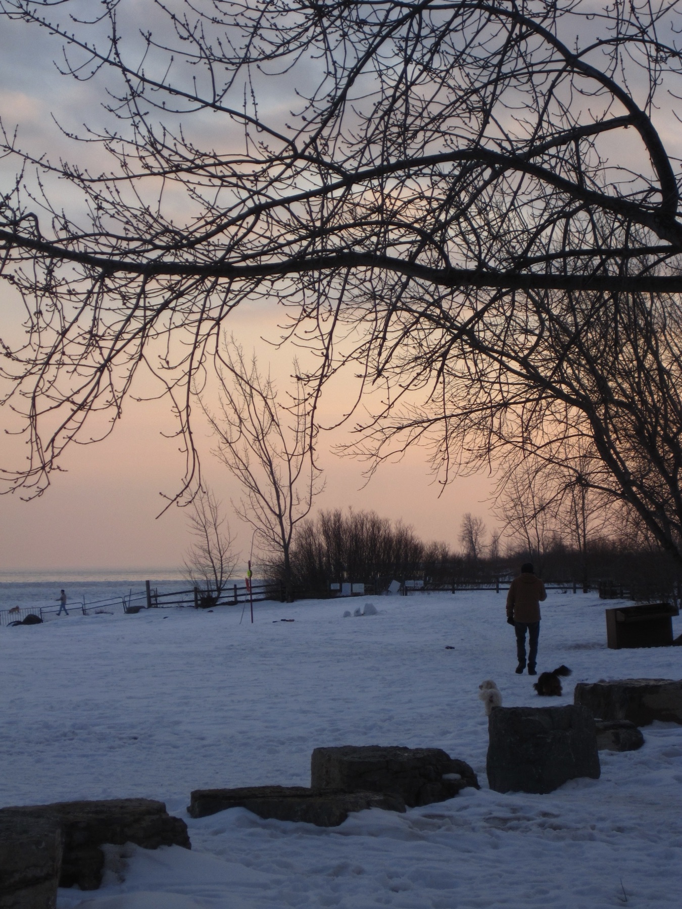 A person and dog small on the frozen lake under pink sky