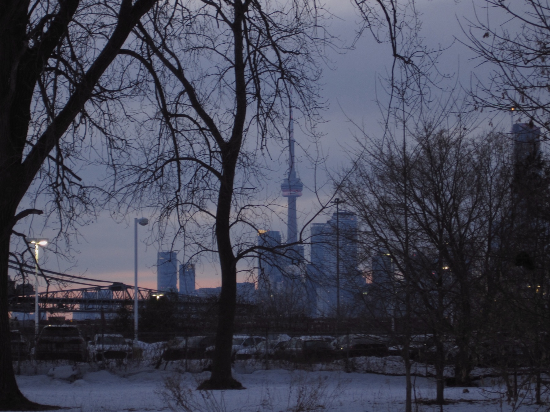 The Toronto skyline silhouetted in blue dusk