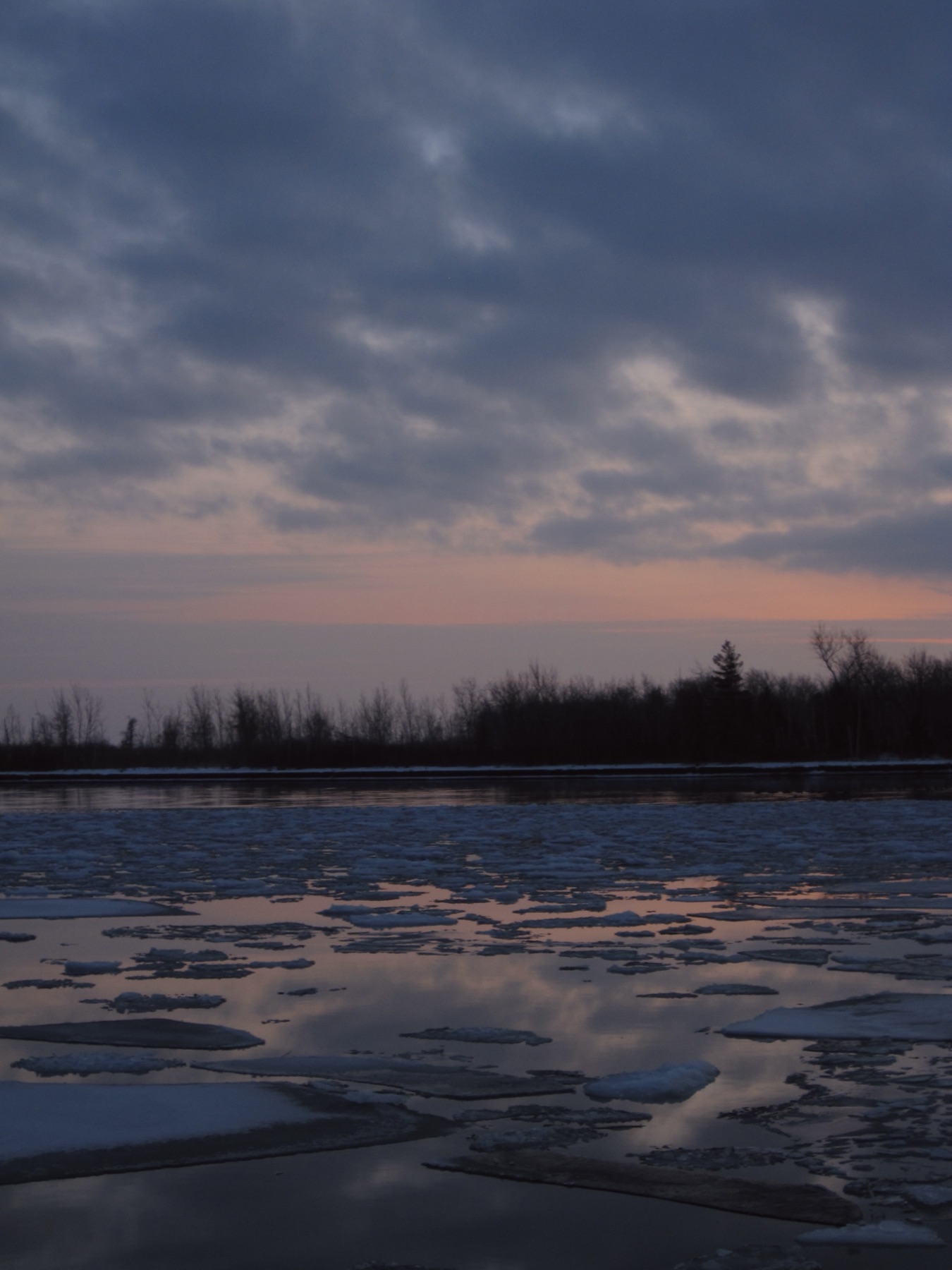 Ice floes under a deep blue dusk with a thin band of pink at the horizon