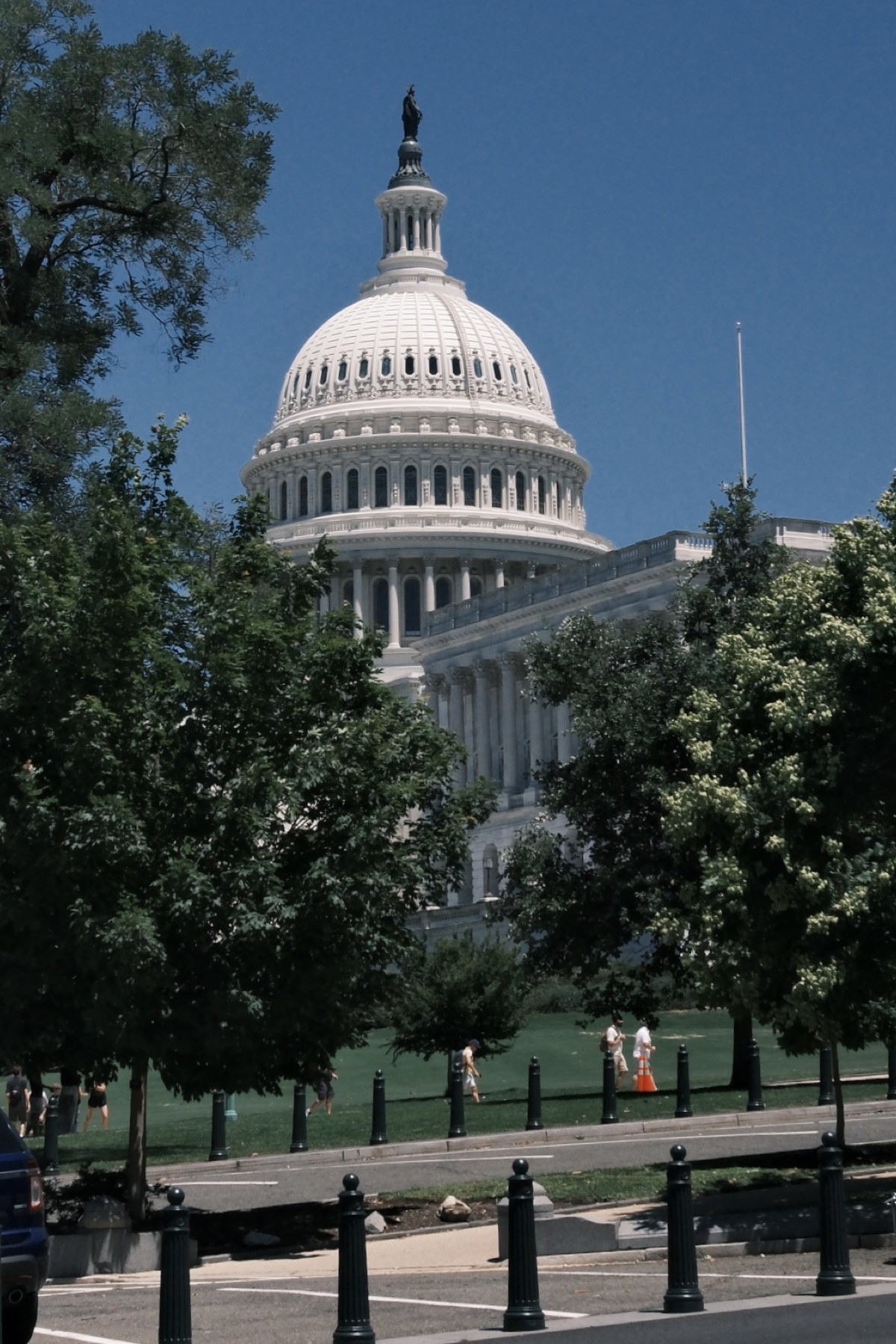 The Capitol dome above shade trees