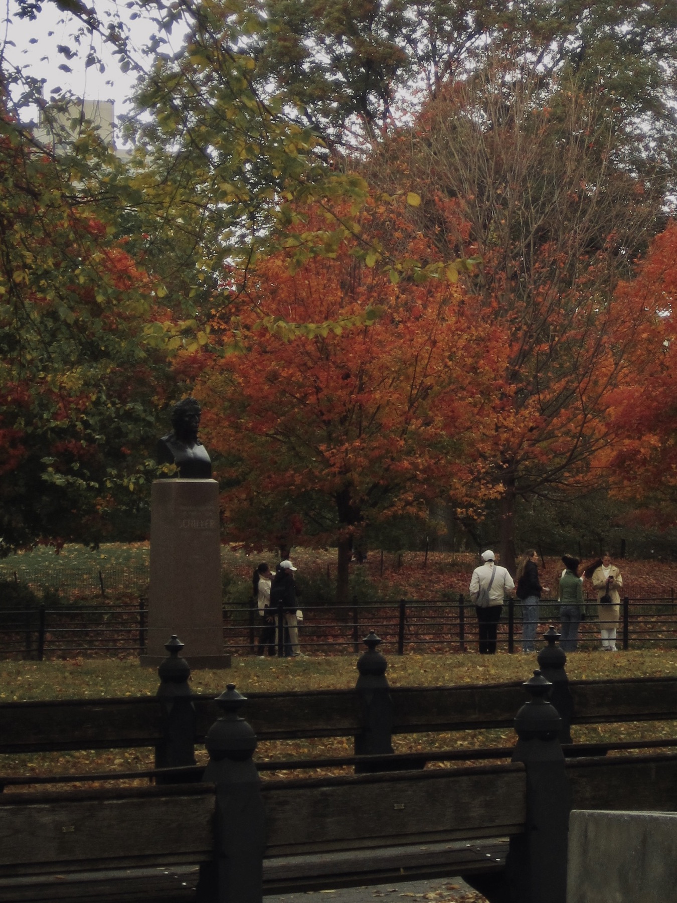 Red maples blazing behind a fence — Central Park in Late October
