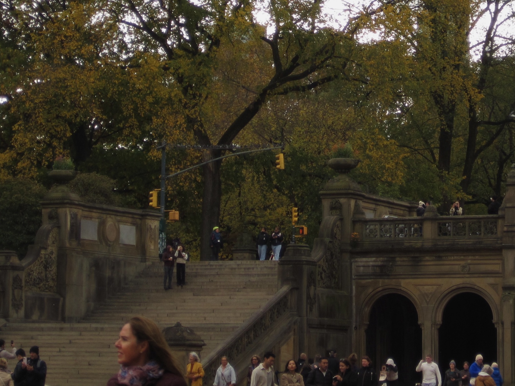 The terrace stairs under golden elms