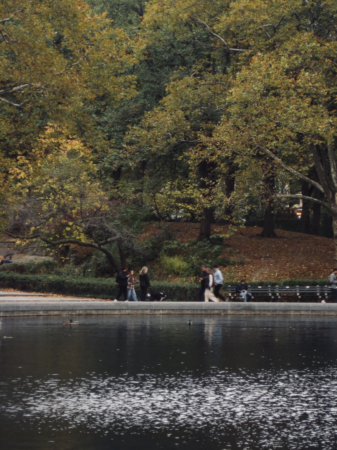 Benches by still water under yellow planes