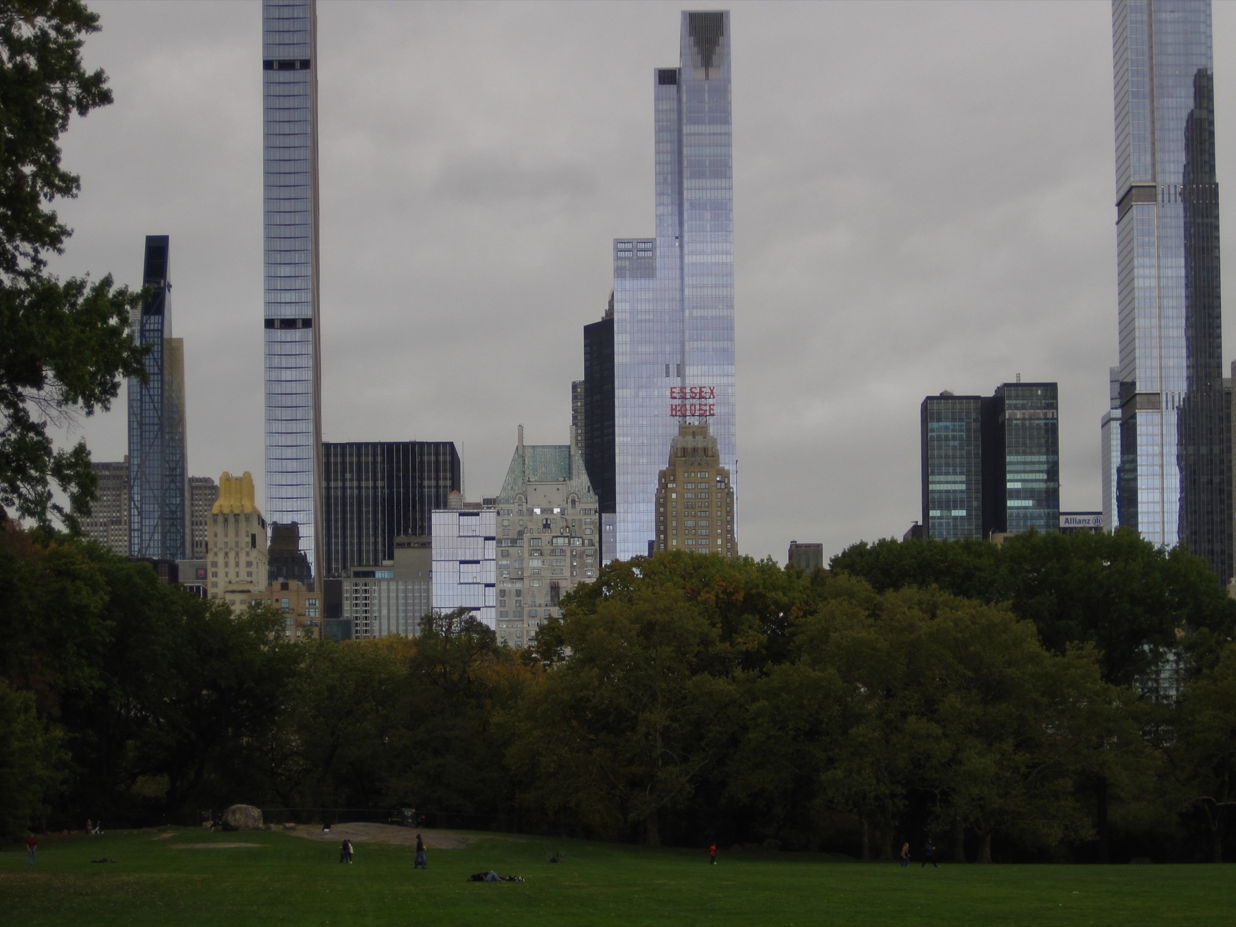 Pencil towers lined up behind the trees