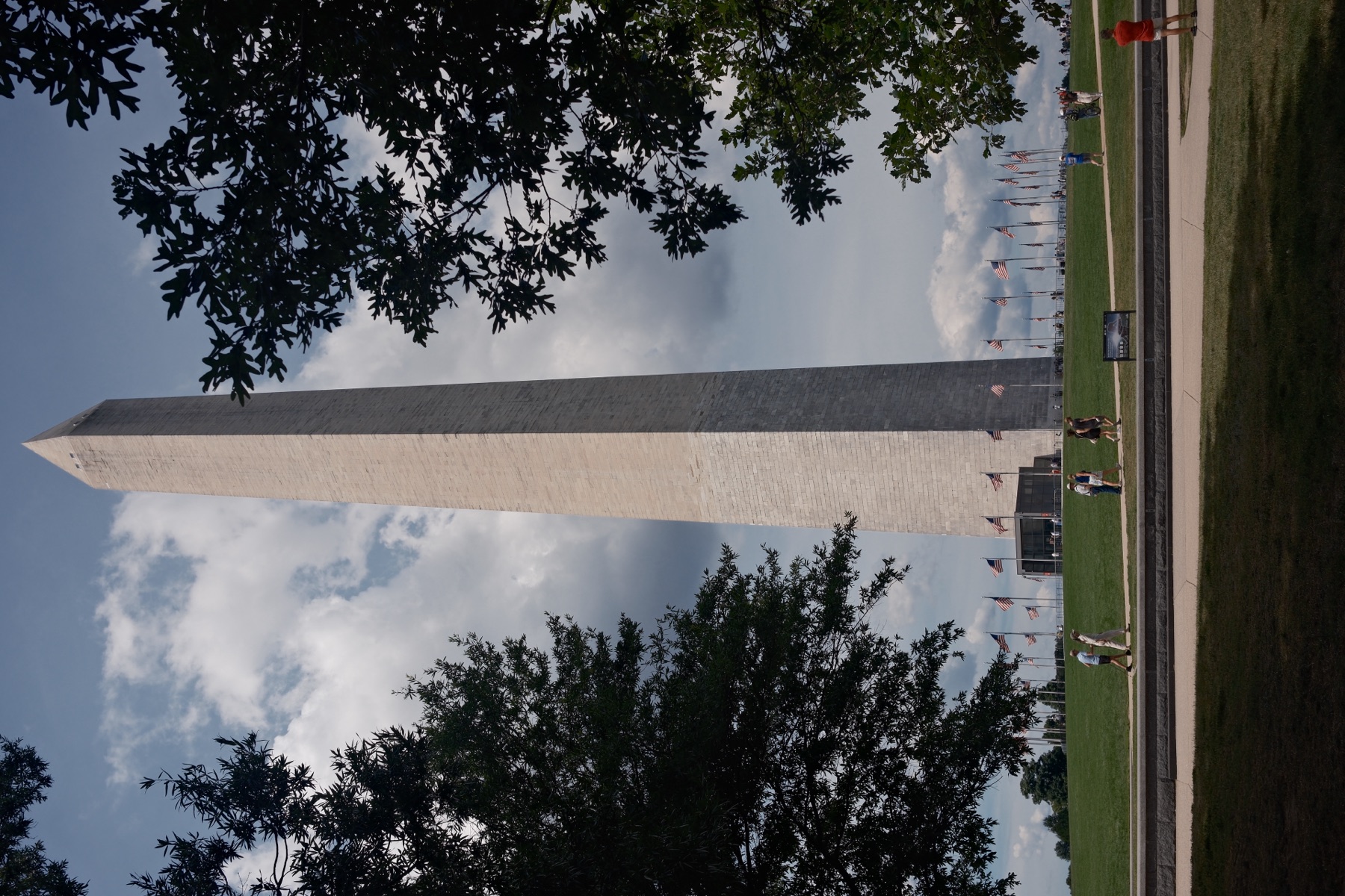 The Washington Monument framed by trees