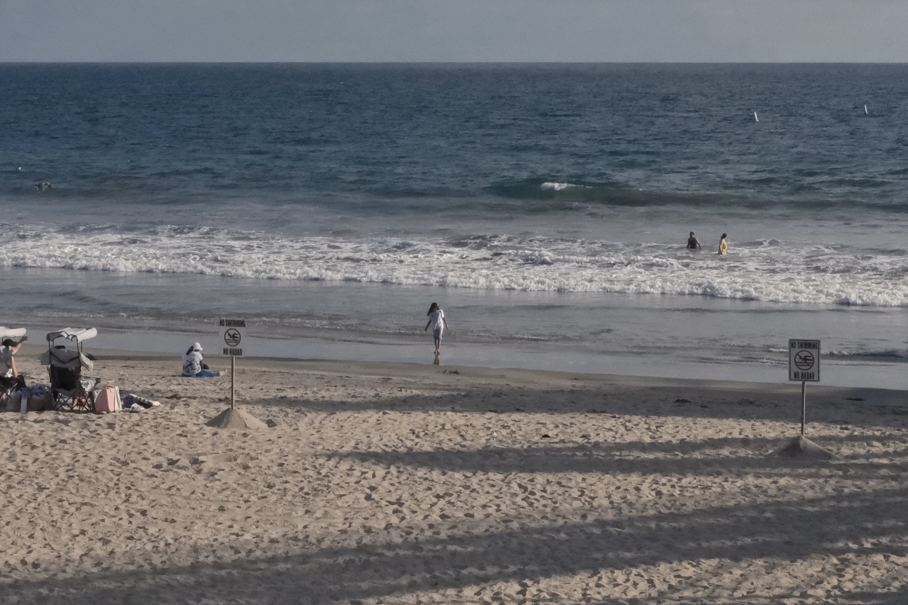 Shoreline swimmers