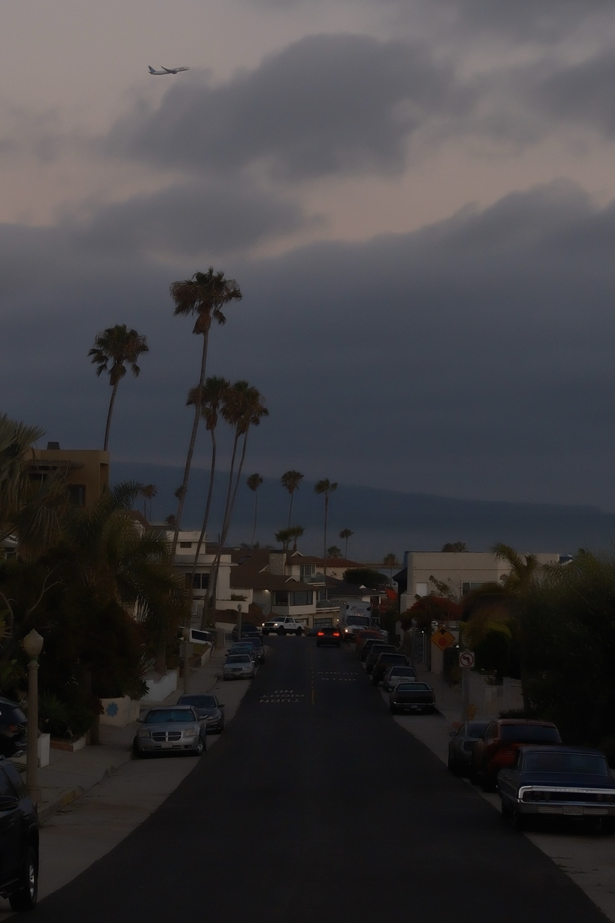 A plane over twilight palms