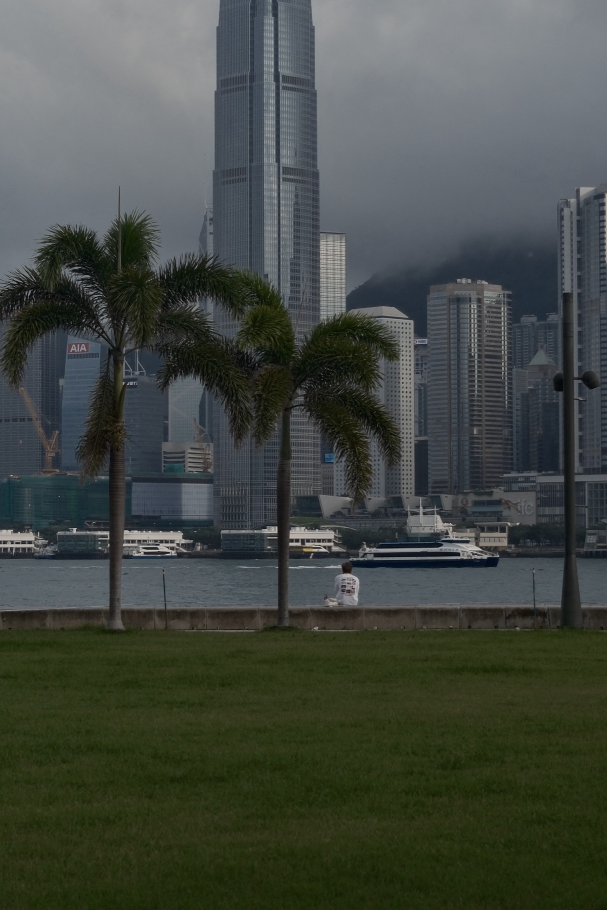 Palms in the park, the towers rising over the water