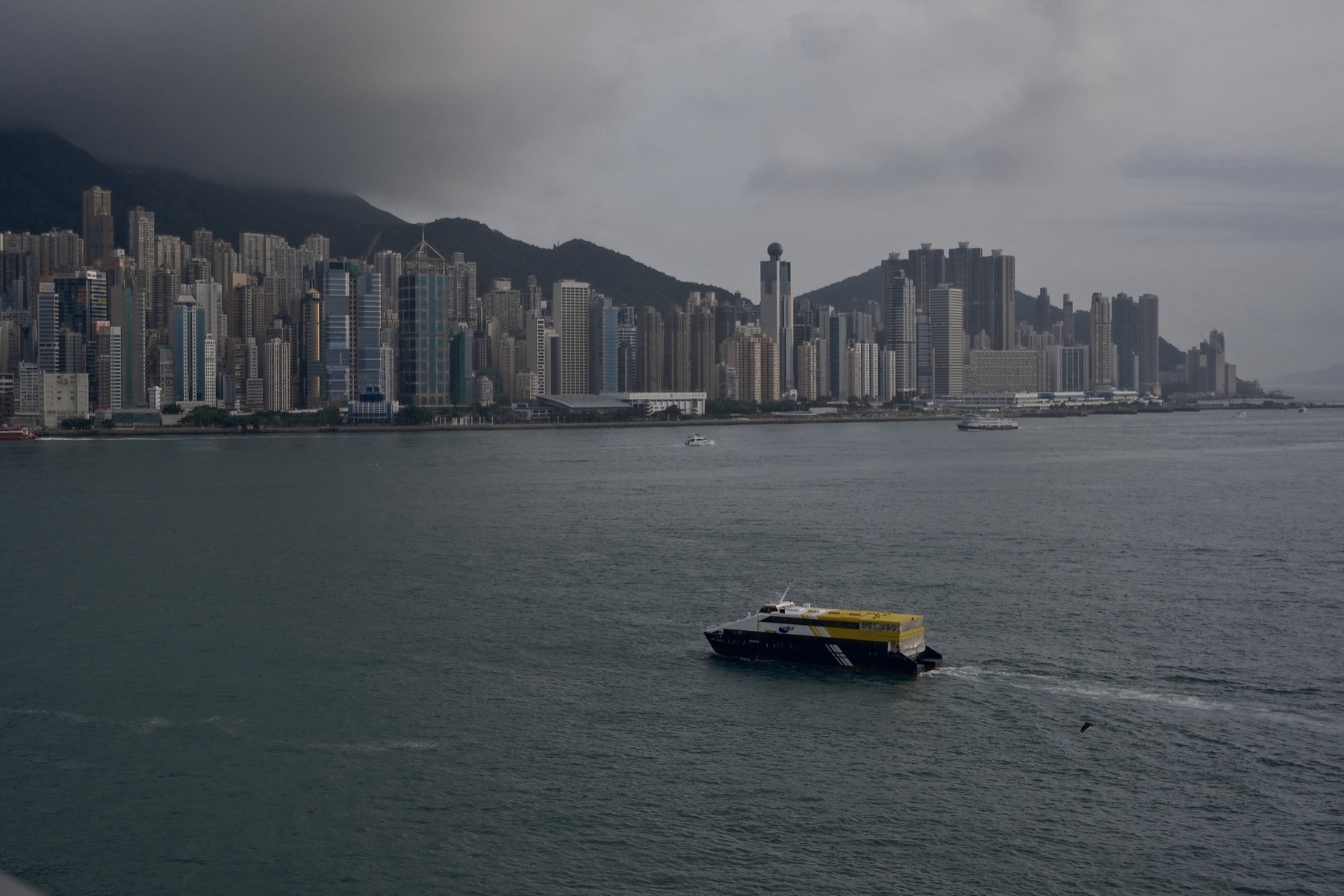 The harbour gone to ink, one ferry still crossing