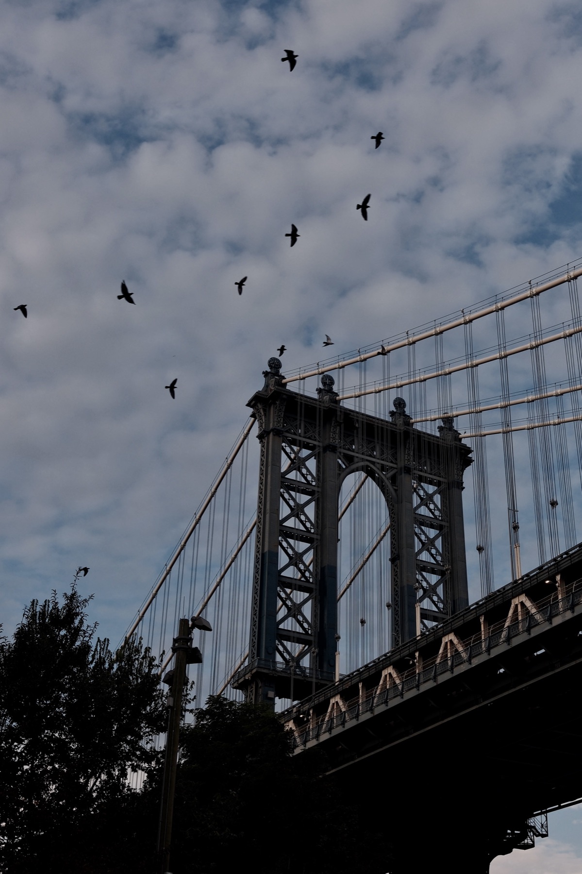 A flock of birds over the Manhattan Bridge tower