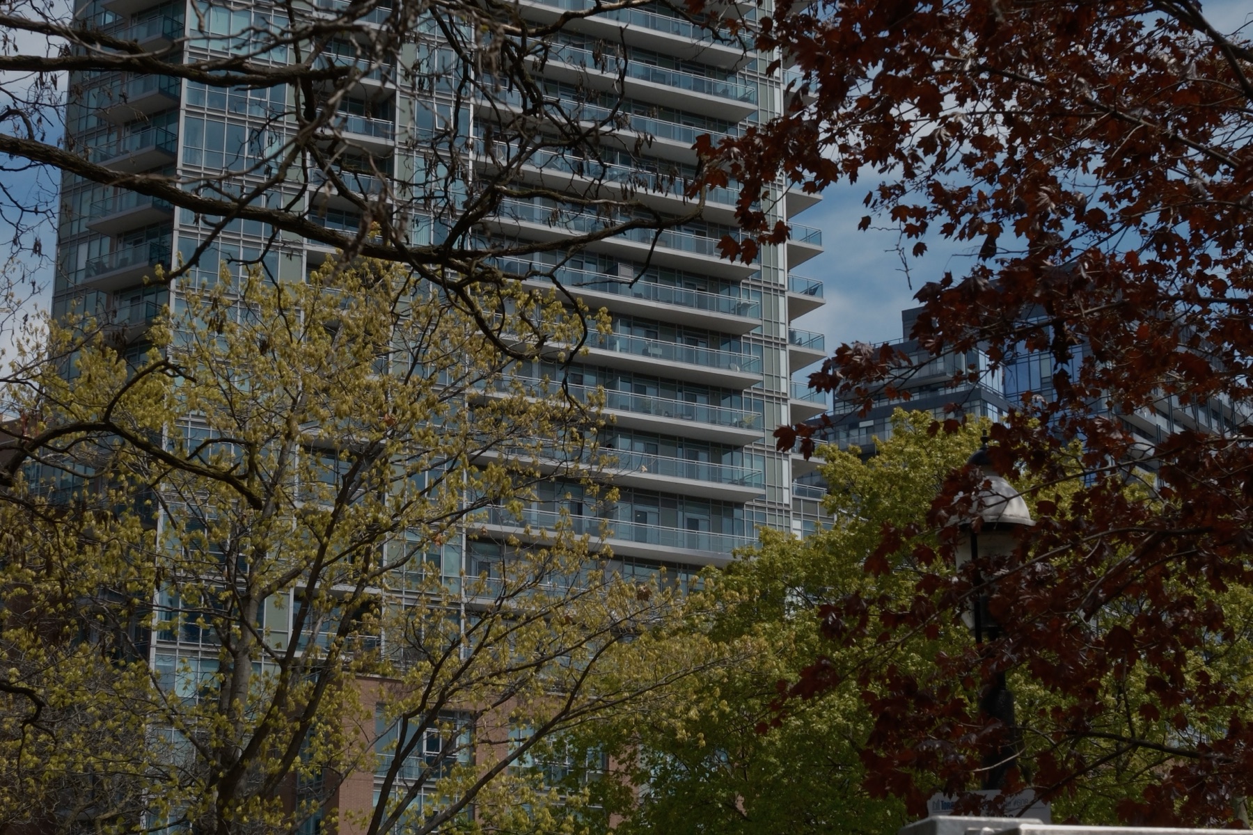 A glass tower through new leaves
