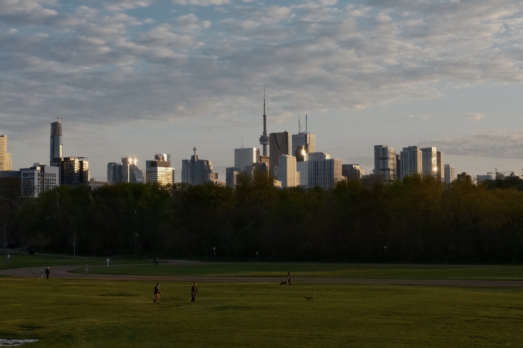 The Toronto skyline at golden hour — A New Lens on Toronto