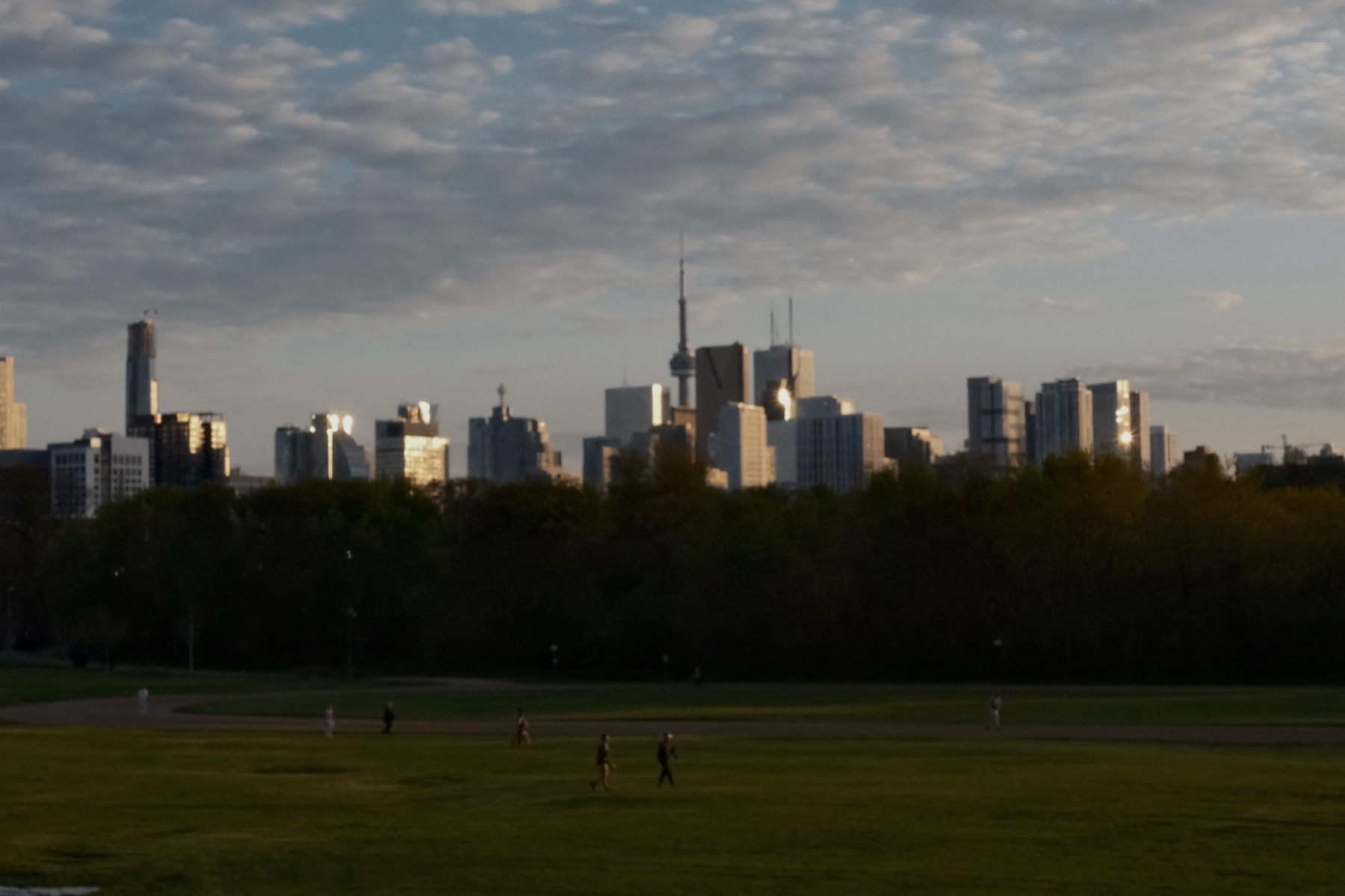 The Toronto skyline and CN Tower at golden hour