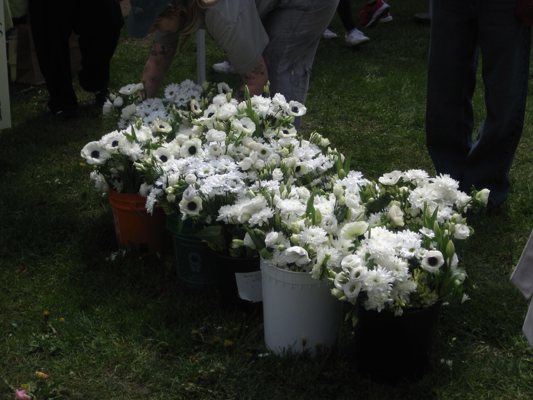 Buckets of all-white flowers