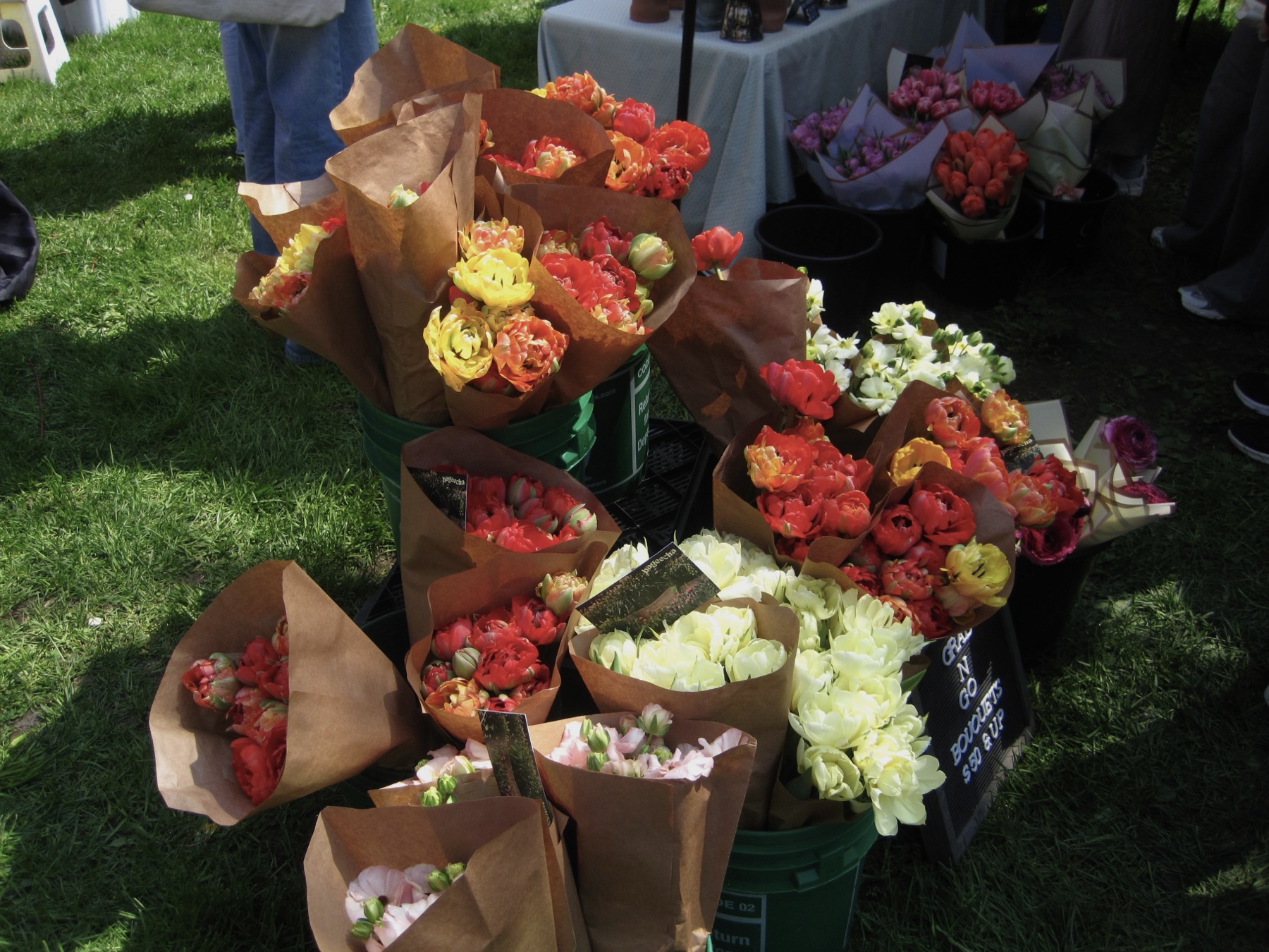 Parrot tulips in kraft paper