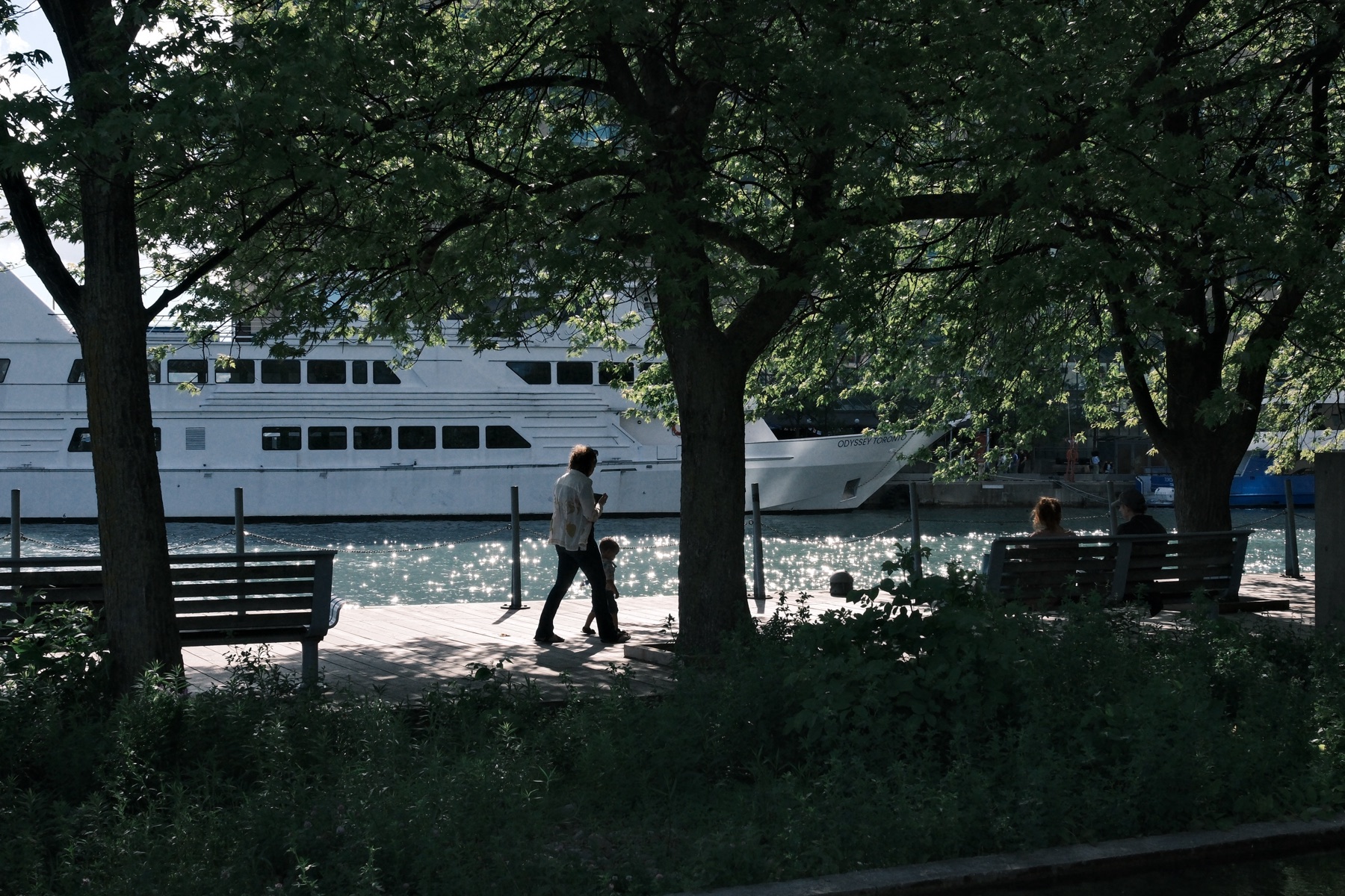 The shaded promenade along the quay
