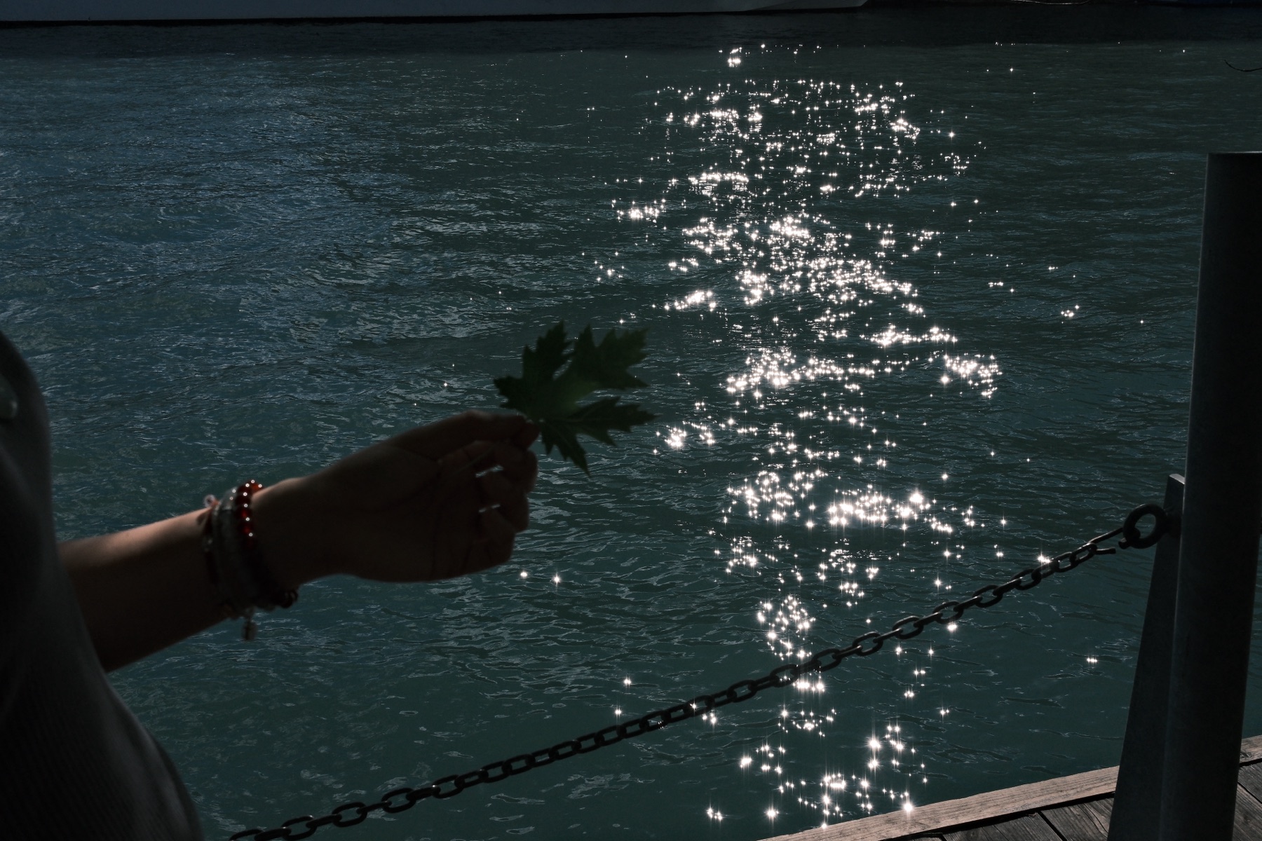 A maple leaf against sparkling water — Pearls on Lake Ontario