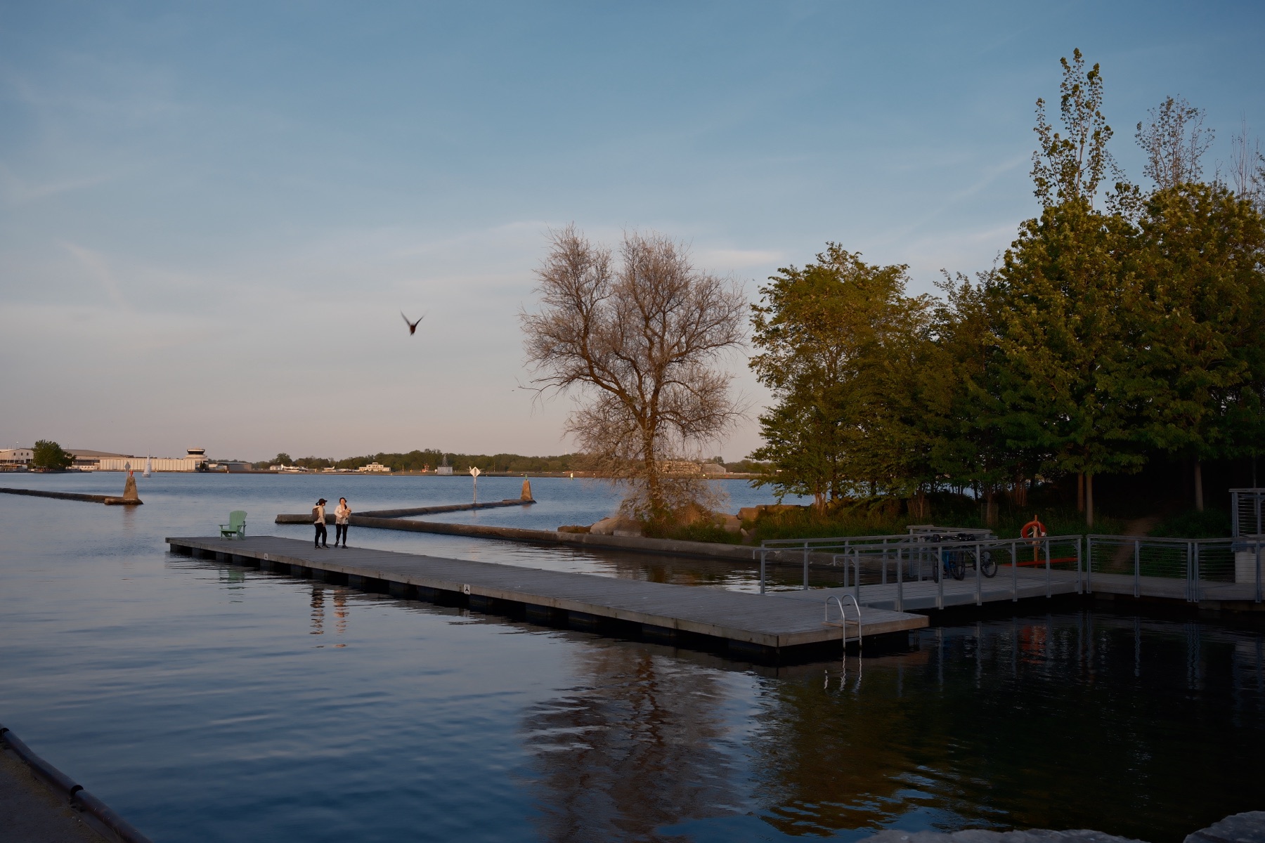 A pier reaching out to a single tree, two figures at the end