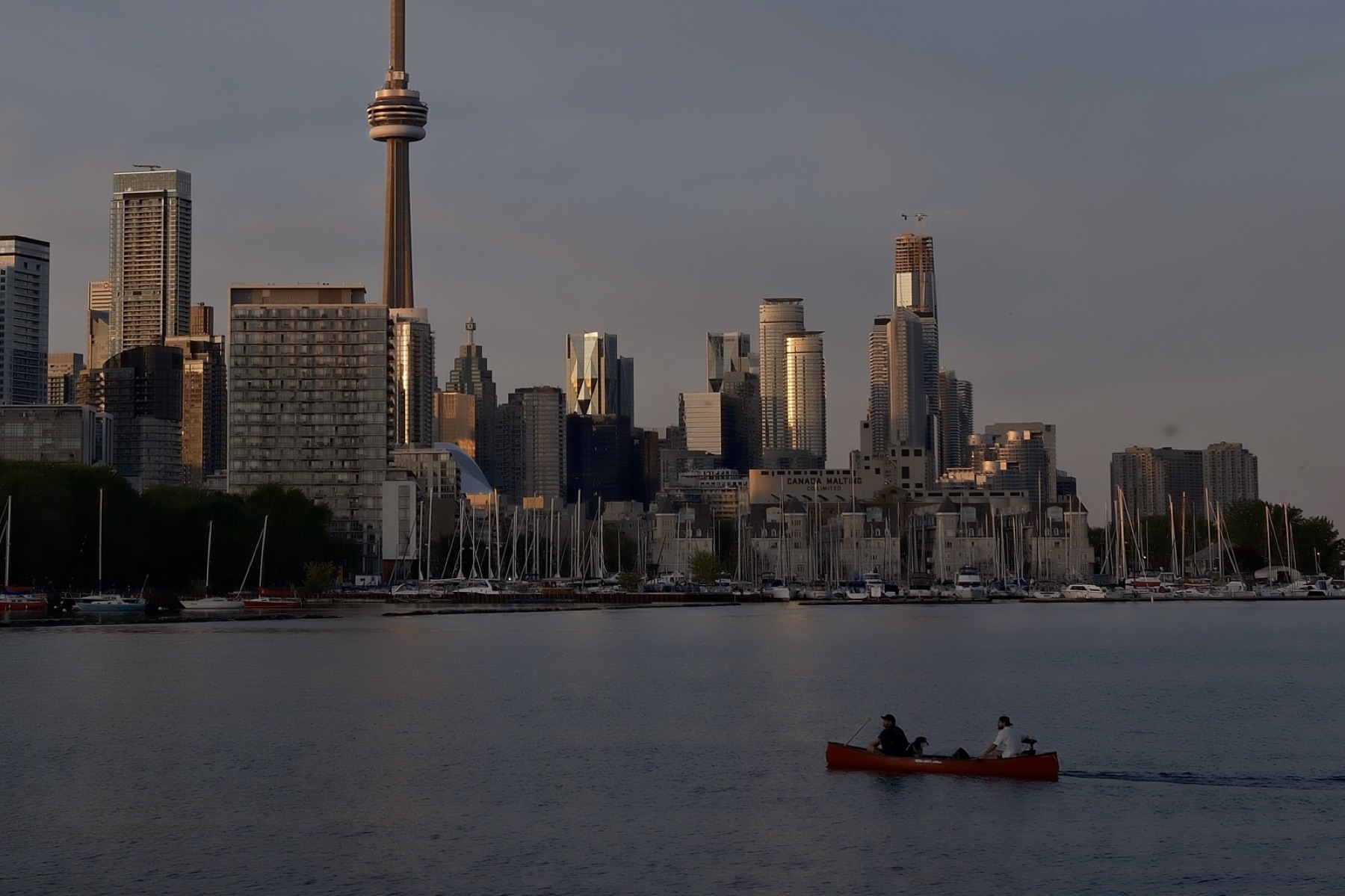 A red canoe crossing before the Toronto skyline — Evening at Trillium Park
